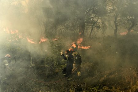 Φωτιά στη Ροδόπη: Καίει αγροτοδασική έκταση στην Ανω Δροσίνη