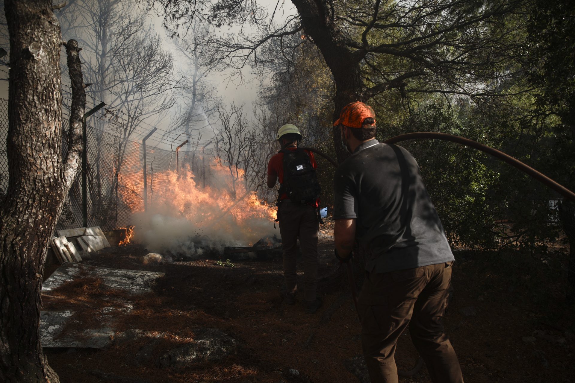 Φωτιές: Συνολικά 90 οι πυρκαγιές στη δυσκολότερη ημέρα του καλοκαιριού – Τι γίνεται σε Βελεστίνο, Λαμία, Ρόδο