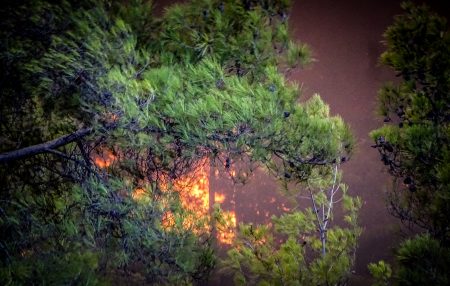 Φωτιά στη Μαγνησία: Μεγάλες διαστάσεις σε ελάχιστο χρόνο – Εκρήξεις από άσκαστα βλήματα