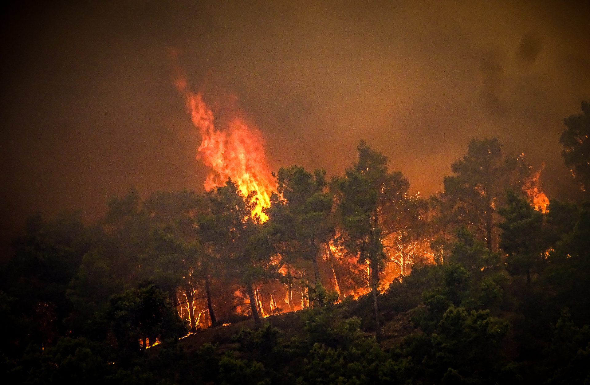 Πώς ξέφυγε η φωτιά στη Ρόδο – Η έλλειψη συντονισμού και τα κρίσιμα 24ωρα