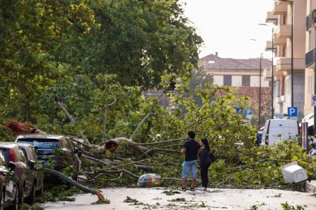 Ιταλία: Δέντρο καταπλάκωσε 16χρονη την ώρα που κοιμόταν στην κατασκήνωση