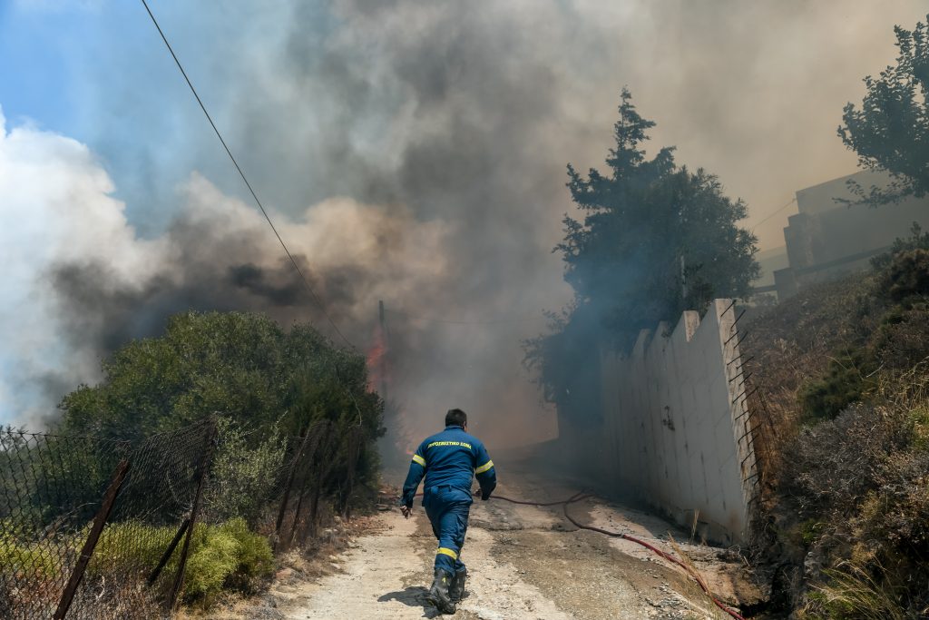 Κάρυστος: Νεκρός ο κτηνοτρόφος