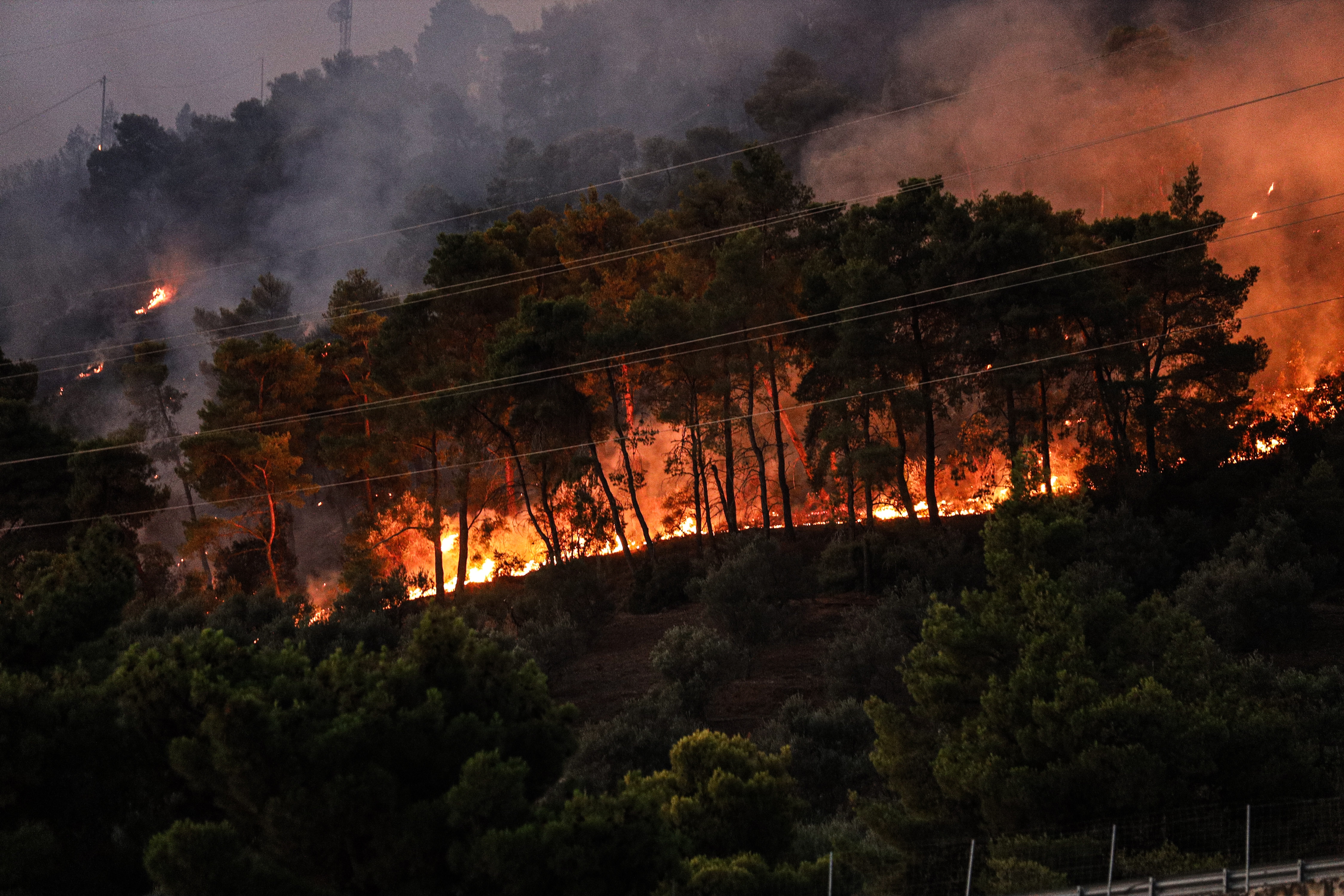Φωτιές: Δύσκολη μάχη με τις φλόγες σε Ρόδο και Κέρκυρα για ακόμα μια νύχτα