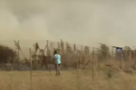 Φωτιά στον Βόλο – Βελεστίνο: Συγκλονιστικό βίντεο με κτηνοτρόφο που ζητά βοήθεια