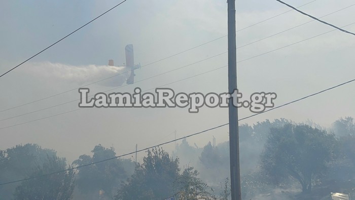 Φωτιά στη Λαμία: Κάηκαν σπίτια – Εκκενώνεται το βόρειο τμήμα της πόλης