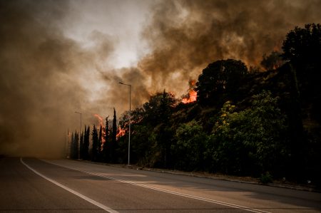 Φωτιά τώρα στη Λαμία: Αναζωπύρωση και 112 για εκκένωση