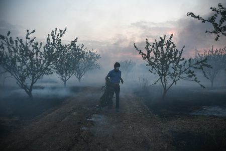 Φωτιά Βόλος: Μαίνεται το πύρινο μέτωπο, απειλείται το Σέσκλο Μαγνησίας