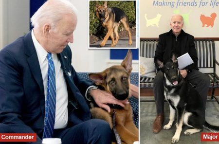 Τζο Μπάιντεν: Πρωτοσέλιδο ο σκύλος του – Έχει δαγκώσει επτά πράκτορες στον Λευκό Οίκο