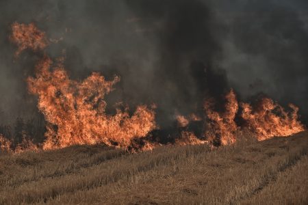 Φωτιές: Σε πολύ υψηλό κίνδυνο πυρκαγιάς δώδεκα περιοχές το Σάββατο