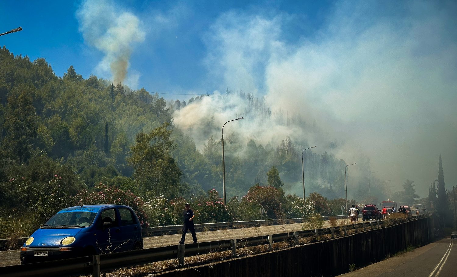 Φωτιά στην Ηλεία: Μία σύλληψη για απόπειρα εμπρησμού – «Μας έσωσαν τα εναέρια μέσα»