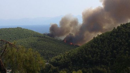 Φωτιά στη Χίο: Σε ύφεση το μέτωπο της πυρκαγιάς από τροχαίο – Συνελήφθη μεθυσμένος ο οδηγός