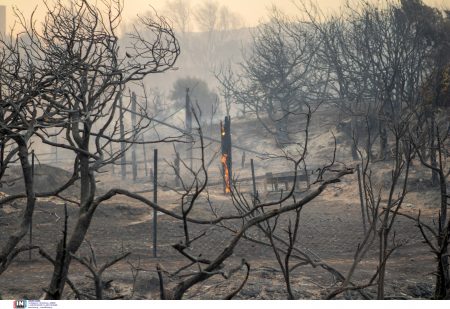 Φωτιά στη Ρόδο: 135.000 στρέμματα δασικής έκτασης έγιναν στάχτη