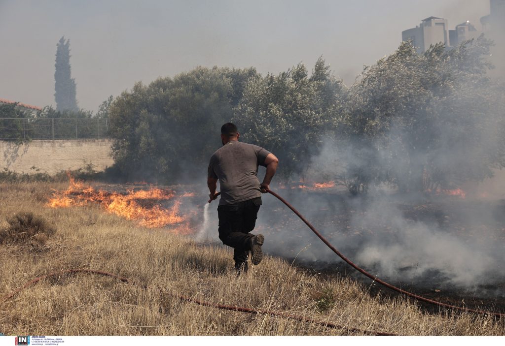 Αλληλεγγύη