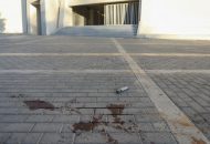 «Συγγνώμη αδερφέ, δεν τα κατάφερα»: Συγκινεί ο φίλος του 29χρονου Μιχάλη