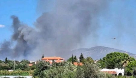 Φωτιά τώρα στον Μαραθώνα