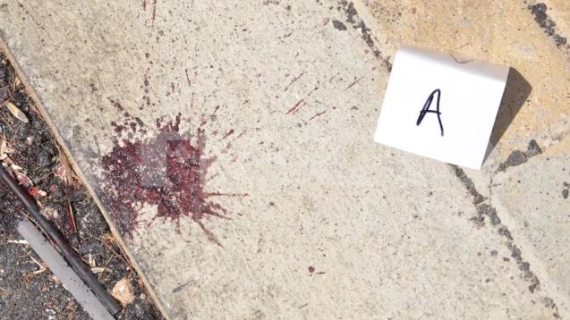 Νέα Φιλαδέλφεια: Εξετάζονται αντικείμενα που φέρουν κηλίδες αίματος – Αποκλειστικές φωτογραφίες