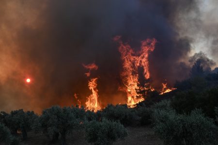 Φωτιά στη Χίο: Η κινητοποίηση της Πυροσβεστικής έσωσε τη Λαγκάδα