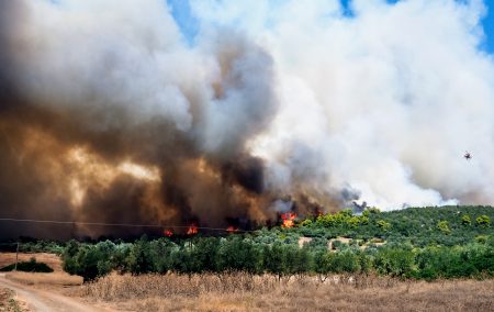 Ψαχνά Εύβοιας φωτιά τώρα: Νέες εκκενώσεις στη Νέα Αρτάκη