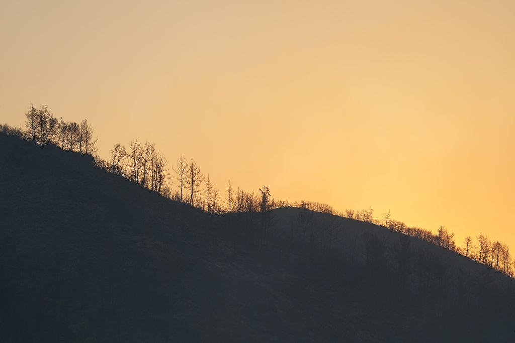Μεγάλη φωτιά στην Ιεράπετρα