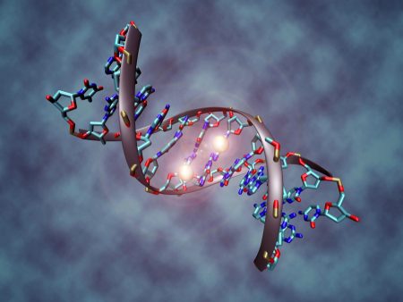 Έρευνα: Αυτά είναι τα γονίδια που επέτρεψαν στον άνθρωπο να σταθεί στα δυο πόδια