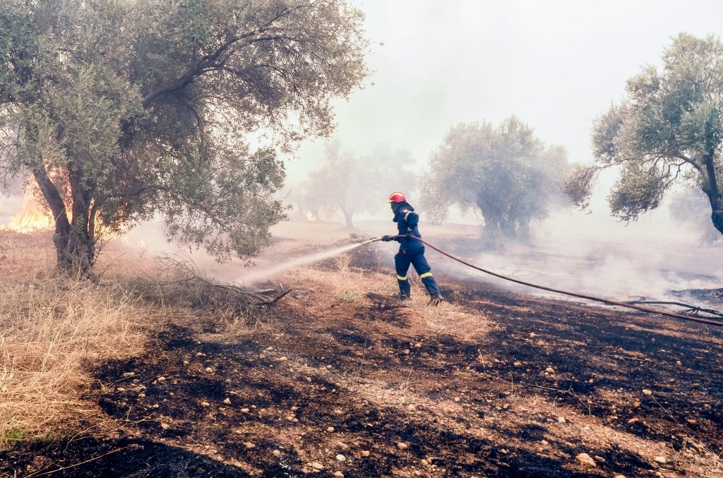 Φωτιά: Άμεση χαρτογράφηση Βοιωτίας και Εύβοιας από Copernicus