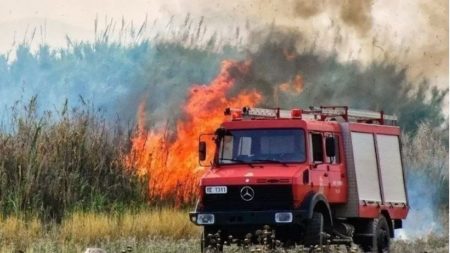 Φωτιά στη Λέσβο: Καίει δάσος μεταξύ «Μέσων» και Αχλαδερής