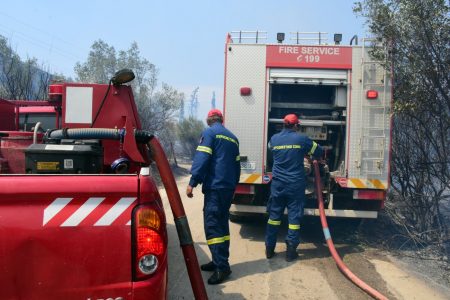 Εύβοια: Νέα φωτιά στο Κοντοδεσπότι