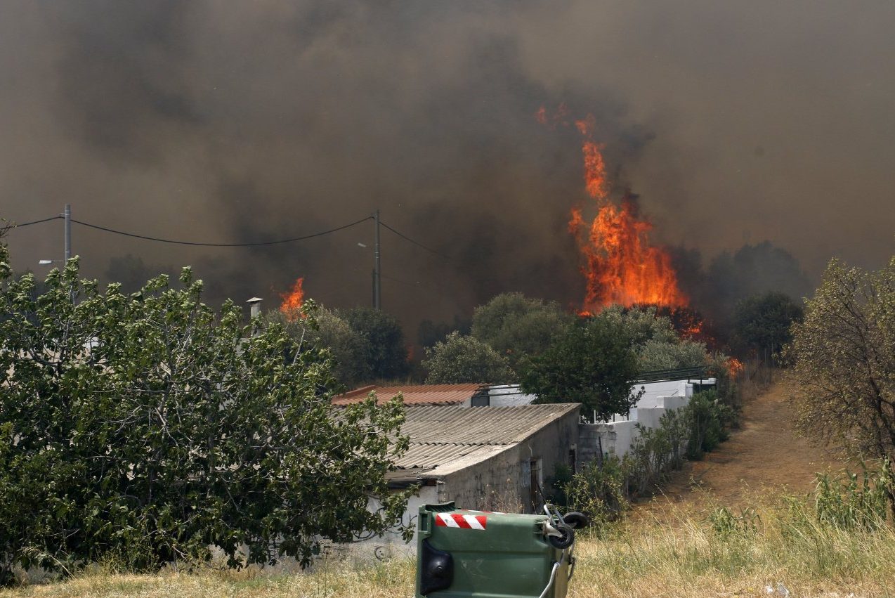 Φωτιές: Σύλληψη για πυρκαγιά από αμέλεια στο Κρυονέρι Αττικής