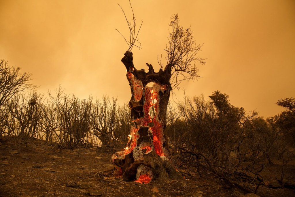 Φωτιά στην Αλεξανδρούπολη: Ερευνα σε δύο σκέλη ζητά η Εισαγγελεία του Αρείου Πάγου
