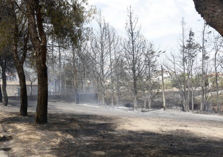 Πάρνηθα: Πάνω από 50.000 τα καμένα στρέμματα σε 24 ώρες – Πρώτες χαραμάδες ελπίδας