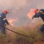 Φωτιά στην Βοιωτία: Μάχη να μην φτάσουν οι φλόγες στο ελατόδασος του Ελικώνα
