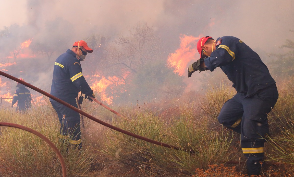 Φωτιά στην Βοιωτία: Μάχη να μην φτάσουν οι φλόγες στο ελατόδασος του Ελικώνα