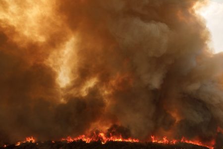 Φωτιά στην Αλεξανδρούπολη: Ολονυχτία μάχη σε Έβρο και Ροδόπη – Πολλαπλά μέτωπα – 620.000 καμένα στρέμματα
