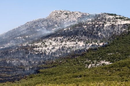 Φωτιές: Μάχη με τις αναζωπυρώσεις στα πύρινα μέτωπα – 195% αύξηση στις καμένες εκτάσεις