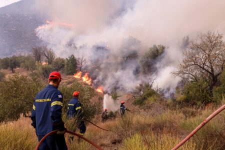 Φωτιές: «Μάχη» με τις αναζωπυρώσεις στα πύρινα μέτωπα – Φωτιές και από κεραυνούς