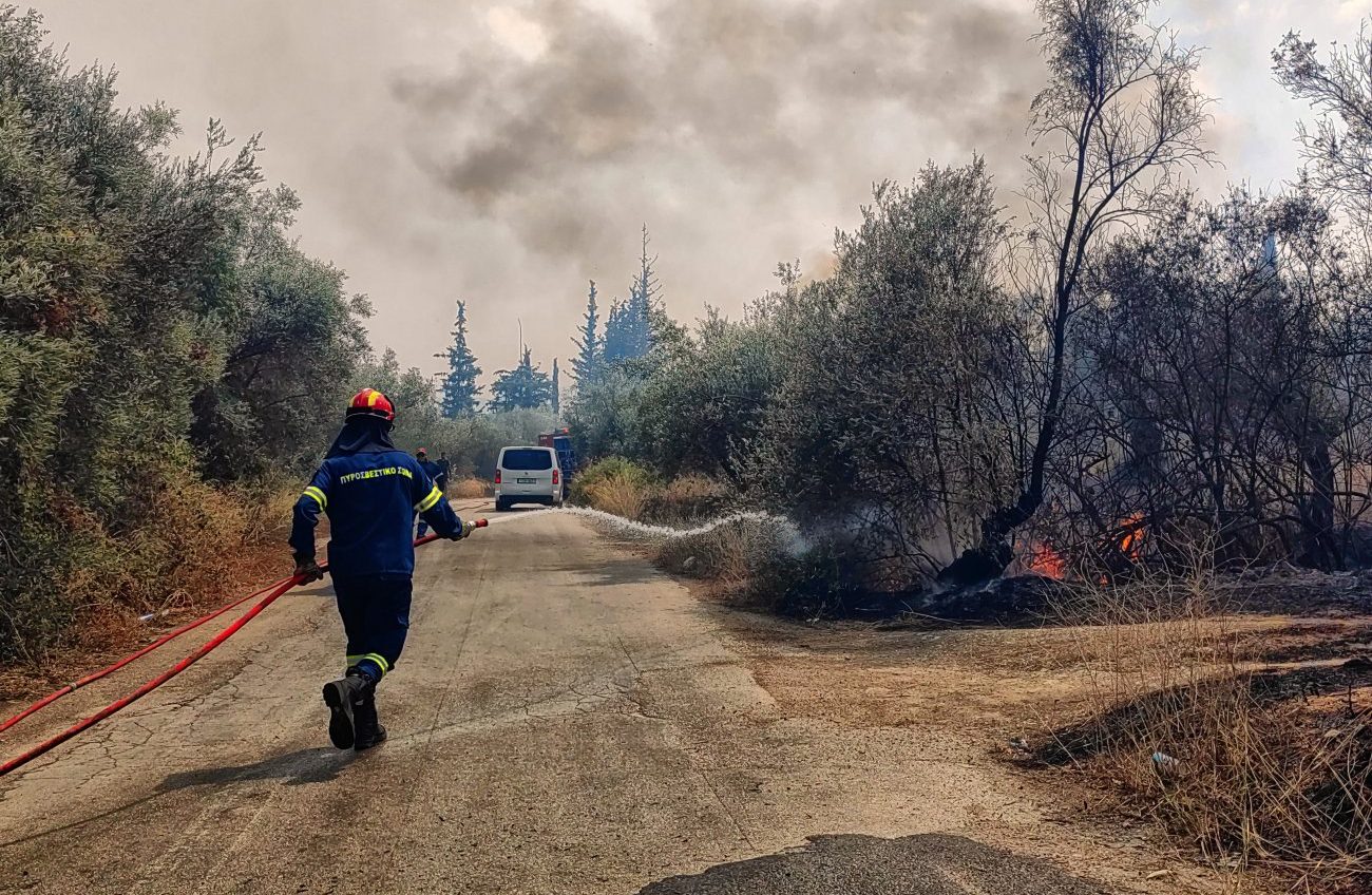 Δασοπροστασία: Eγιναν πολλά, αλλά…