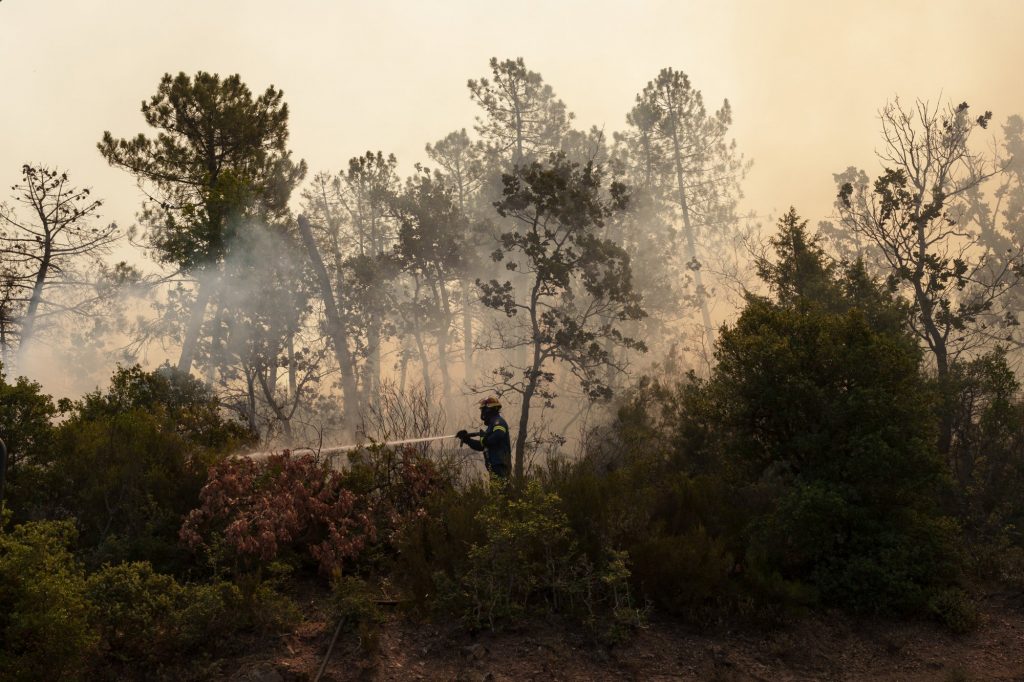 Φωτιές: Προφυλακίστηκε ο 45χρονος που συνελήφθη για εμπρησμό στον Αυλώνα