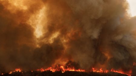 Φωτιά στον Έβρο: Κάηκε έκταση μεγαλύτερη από τη Νέα Υόρκη