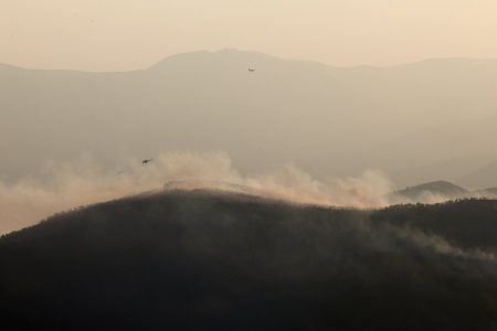 Παύλος Μαρινάκης: Κηρύσσονται αυτομάτως αναδασωτέες οι καμένες εκτάσεις