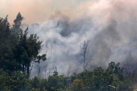 Φωτιές: Μάχη για 11η μέρα στο δάσος της Δαδιάς στον Εβρο -Καίει ακόμη σε Πάρνηθα και Βοιωτία