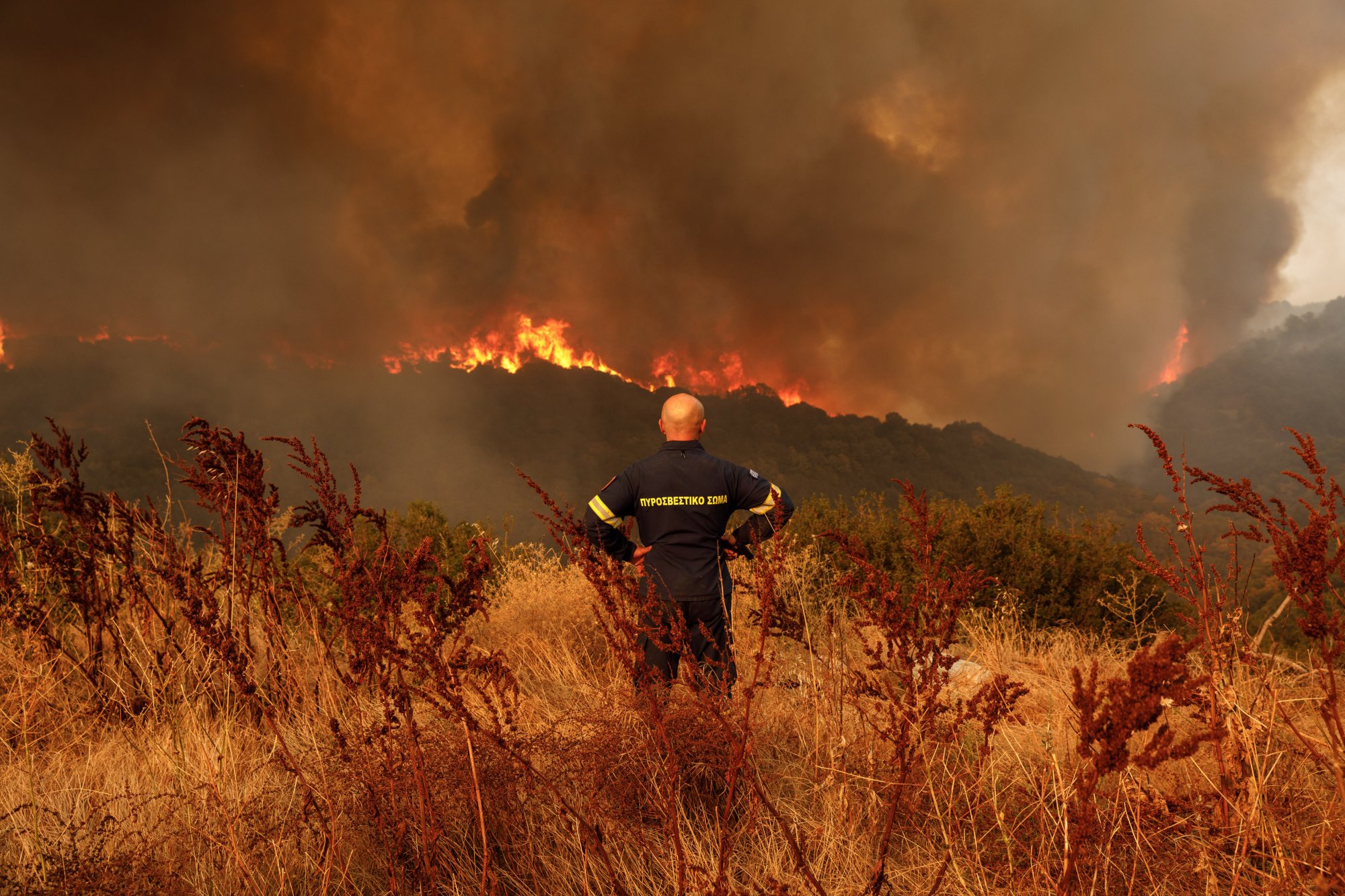 Φωτιά στον Έβρο: Μήνυμα από το 112 για εκκένωση της περιοχής Κοτρωνιά