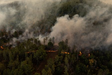 Φωτιά στον Έβρο: Νέα «112», εκκενώνονται οι περιοχές Γιαννούλη και Σιδηρώ – Ισχυρές αναζωπυρώσεις