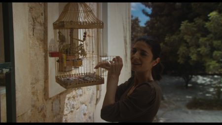 Φοίβος Ήμελλος: «Το σύγχρονο ελληνικό σινεμά βρίσκεται σε μια κομβική φάση ωρίμανσης»