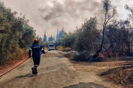 Φωτιές: Αναζωπυρώσεις στον Έβρο – 81 πυρκαγιές σε όλη τη χώρα