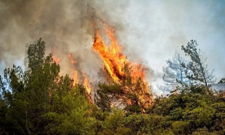 Φωτιά στα Φάρσαλα: Μάχη για να μην επεκταθούν οι φλόγες στην Ανάβρα