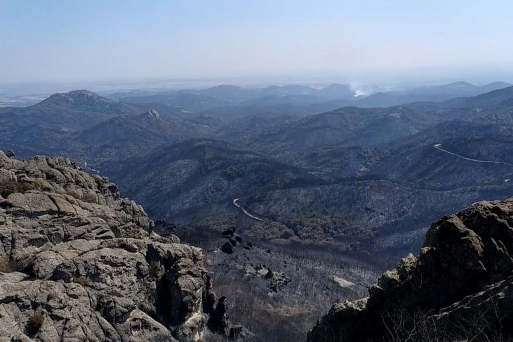 Έβρος: Η Δαδιά πριν και μετά τις φωτιές – Αποκαρδιωτικές οι εικόνες