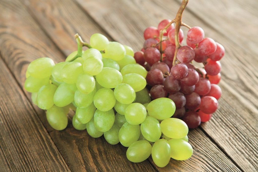 Τήνος: «Το παιδάκι μου δεν τα κατάφερε» – Θρήνος για τον 3χρονο που πνίγηκε με σταφύλια