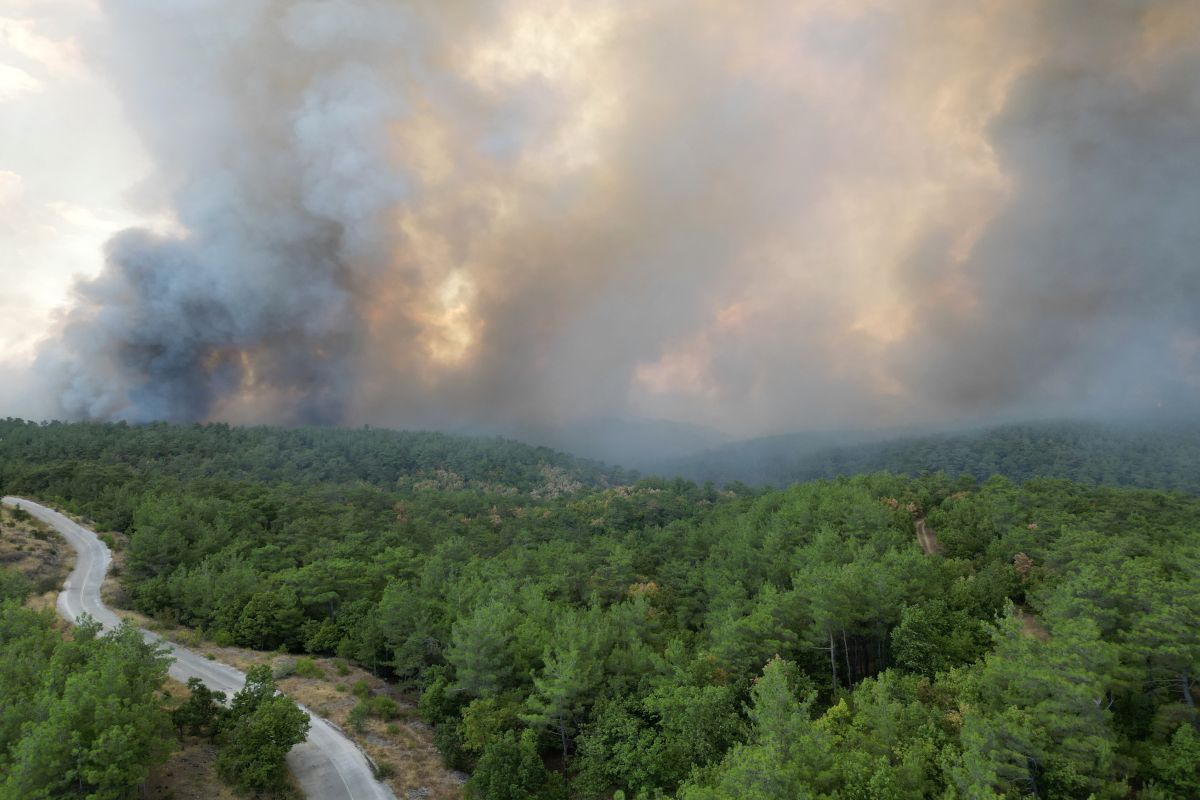 Έβρος: Δύσκολη η νύχτα, καίει για 14η μέρα η φωτιά