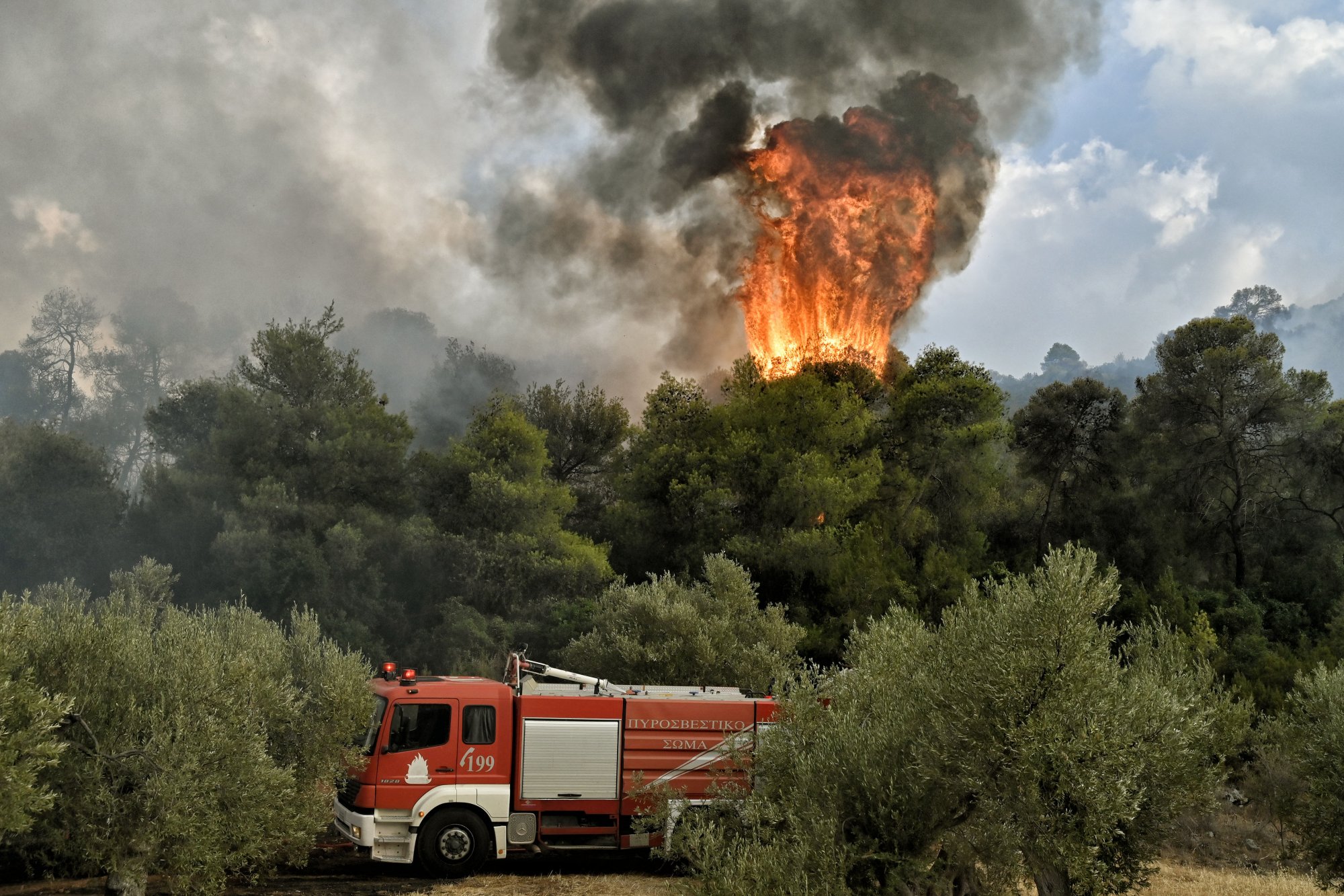 Φωτιά στην Κόρινθο: Υπό μερικό έλεγχο η πυρκαγιά στο Στεφάνι
