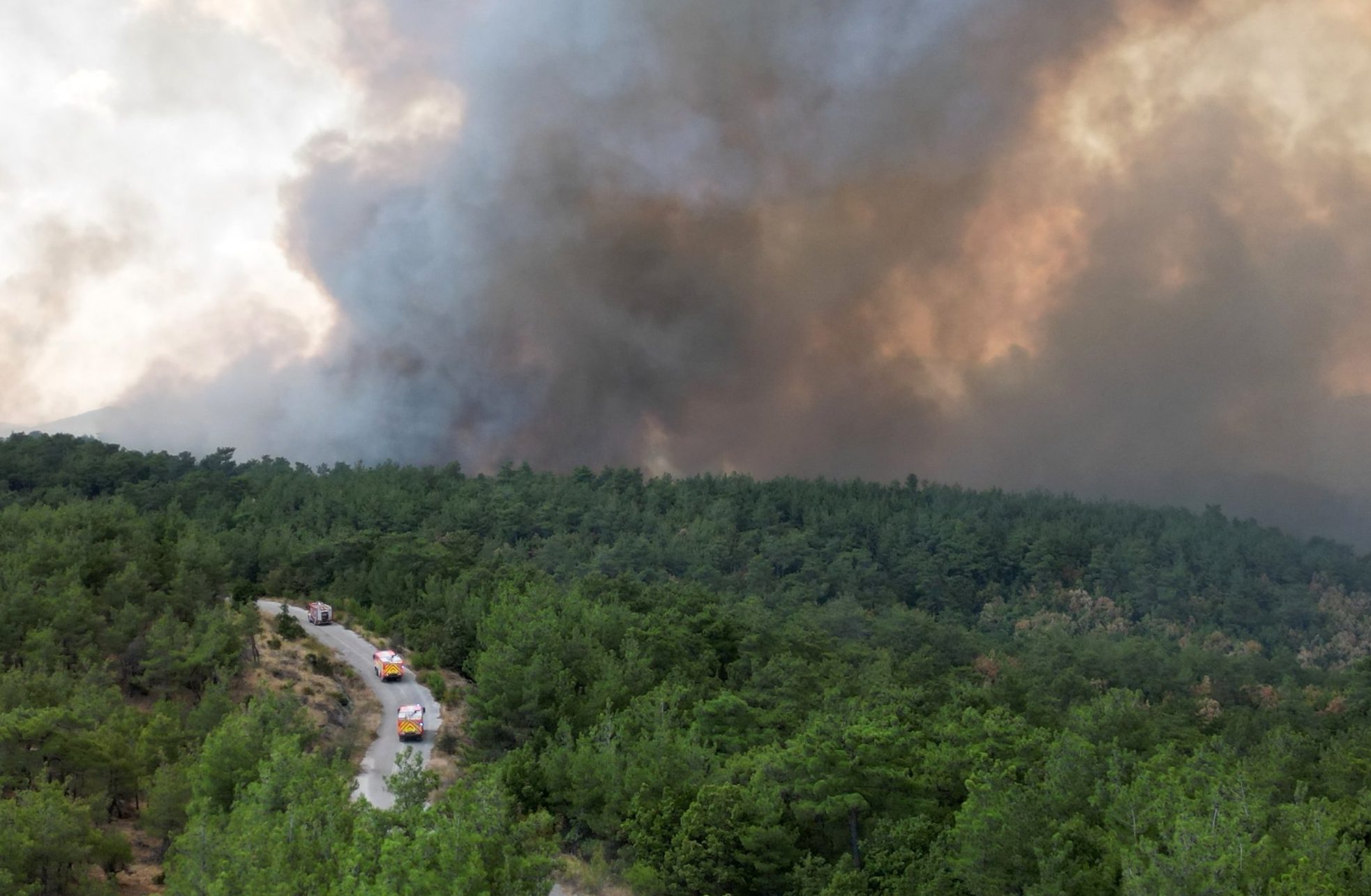 Φωτιά στον Εβρο: Καθηλωμένα τα δύο ενεργά μέτωπα – «Θα χρειαστούν μέρες για να σβήσουν»